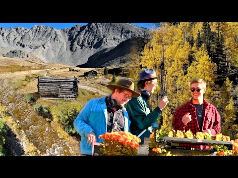 There Were Baers at Mayflower Gulch for Organik Society | 4k 60FPS |