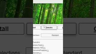 Debloat Windows 11 in UNDER 1 Minute🕣