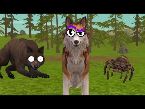 The wolf bros- Steave