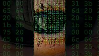 Staying anonymous online: Alternative Search Engines #anonymity #cybersecurity #privacy #security