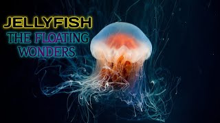 JELLY FISH THE FLOATING WONDERS #FloatingWonders #JellyfishJourney #OceanMagic #MarineMarvels