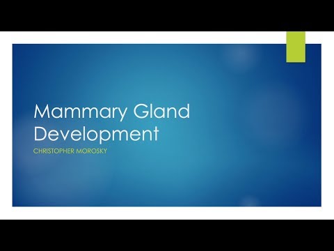 Mammary Gland Development
