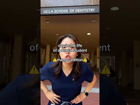 PERSEIDS #dayinmylife #dentist #dental #dentalschool