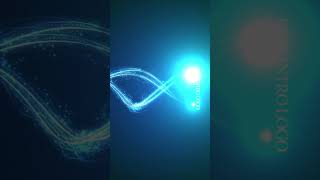 The Best Intro Logos LG#477