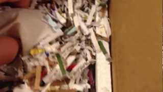 Female genetic stripe ball python unboxing!