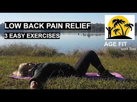 Low Back Pain Relief: 3 Easy Exercises
