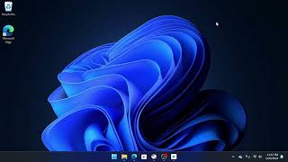 dev setup 3 - system wide MITM