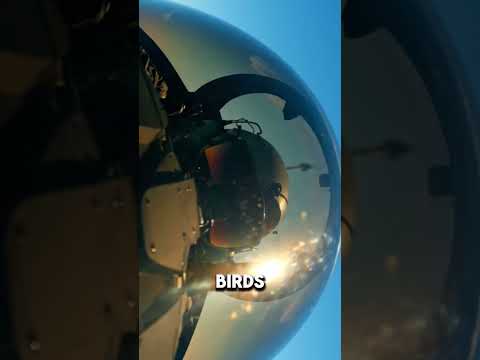 What Happens If a Bird Hits a Supersonic Jet 🐦#Shorts#ViralShorts #viral #MustWatch #ViralVideo