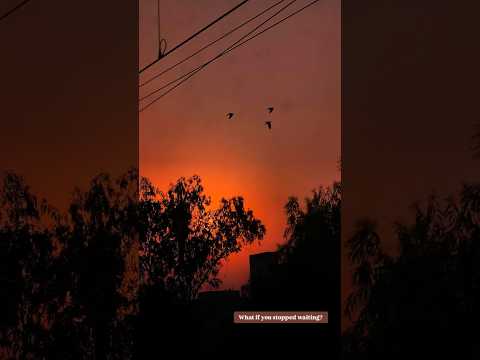 beauty #shorts #ytshorts #travel #amazinguttarakhand #nature