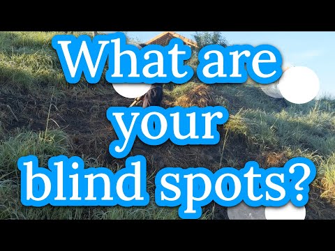 Get Your Syntropic Eyes On : Our Vision