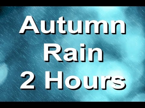 Rain Sounds : The Relaxing Nature Sound of Rain in Autumn. 2 Hours Long