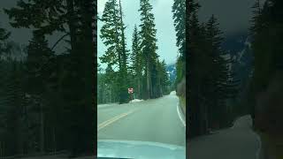 Mt. Rainier, Washington #mountrainier #mountrainiernationalpark #mountainview #seattle #roadtrip
