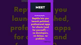 Big agency feel. Solo freelancer budget. #reptileapp #nocodeapps