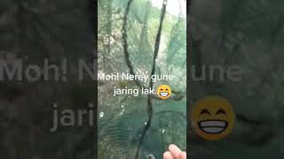 Mancing jaring anak-anak ikan...