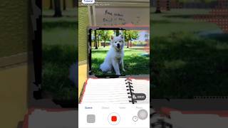 Wow New Level of Scene scan with Auto-Tagging😱 Do you wanna try? read description⤵️