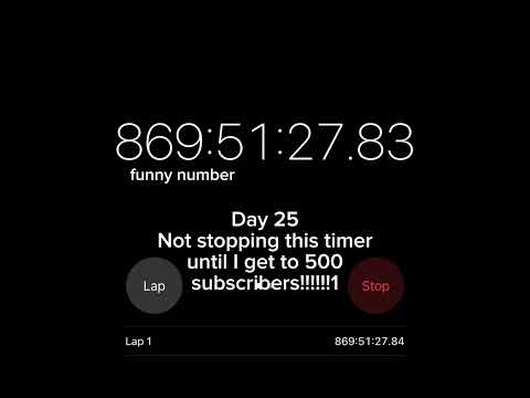 Timer Day 15 #trend #gorillatagfun #youtubeshorts #video #youtubevideos #youtube