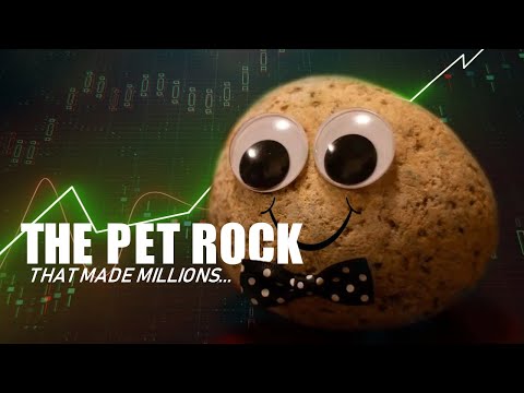 The Stupidly Genius Pet Rock Fad That Made Millions (In 5 minutes or less)