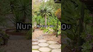 Your code is like a garden 🪴 #developer #devtips #thepragmaticprogrammer #designpattern