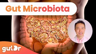 What is Gut Microbiota? | GutDr Mini-Explainer