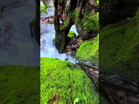 Water sound