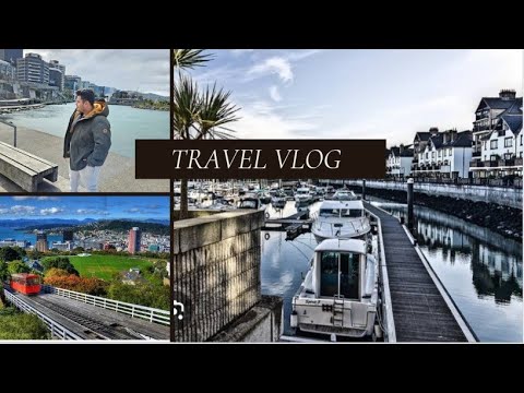 Last Day In Wellington |  Beautiful Scenes And Endless road | 🤩😵❤️