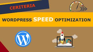 Wordpress Optimization Overview | 4 Factors
