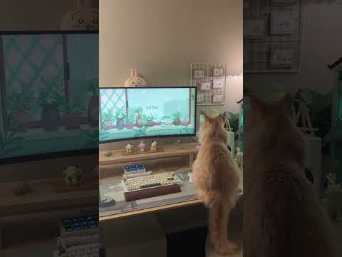 green desk setup #desksetup #tech #gamingsetup #pcsetup