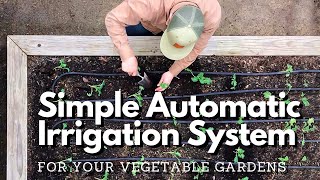 Easy DIY Automatic Irrigation System for any Garden!