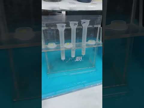Mini Vlog - Day 175th (06-09-24). Counting up to my PhD final defence day. #phd #research #minivlog