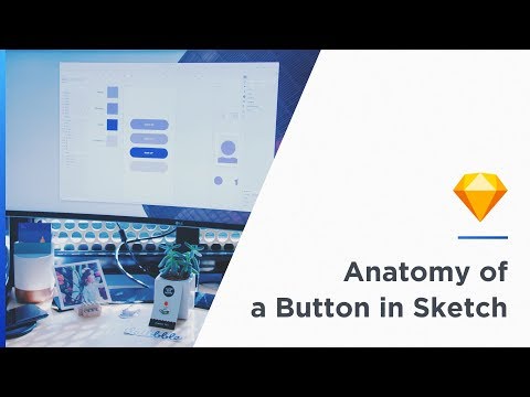 Anatomy of a Button in Sketch