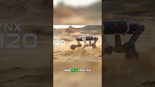 DEEP Robotics LYNX M20 Is Built for Extreme Environments