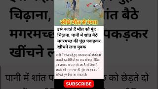 Top Learning Tools for Tech Enthusiasts #shorts #shortsfeed #viralshorts