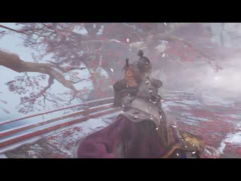 Sekiro - True Corrupted Monk No Damage No HUD NG+4