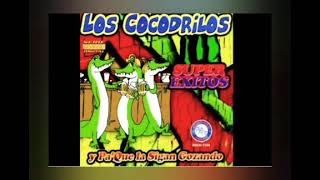 Mix de Los cocodrilos y isis gallardo y los cocodrilos 🐊