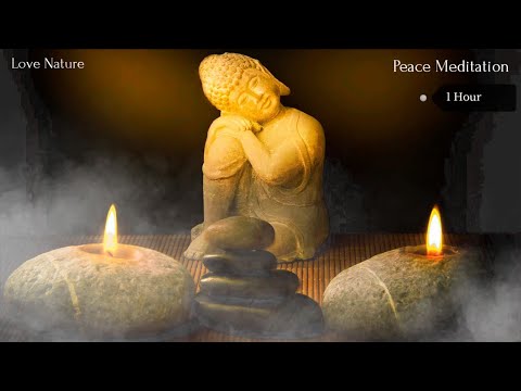 Peace of Mind | Peaceful Music| Meditation Music | Calm whithin 1 hour : relieve stress
