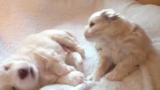 Aww dad you woke me up