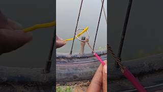 genius idea ✅💡 #shorts #knotskills #lifehacks #viral