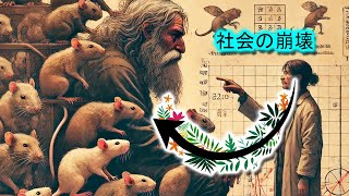 ユニバース25実験 | 動物ドキュメンタリー