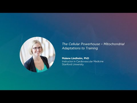 The Cellular Powerhouse – Mitochondrial Adaptations to Training | Malene Lindholm
