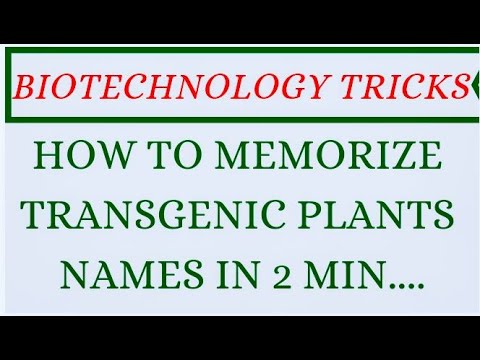 Biotechnology Mnemonics | how to memorize transgenic plants  |