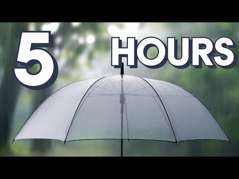 Soothing Rain and Thunder Sounds | 5 Hours