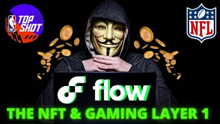 Flow Crypto Coin | Layer 1 NFT & Gaming Project Working with the NBA & NFL