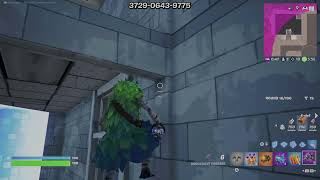 Fortnite Gameplay with Subs