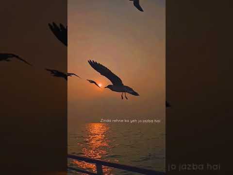 Motivational lines Amitabh Bachchan😔