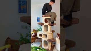Deluxe Large Cat Climbing Frame Treehouse🤩 #bestpetsupplies #cat #catfurniture