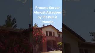 Is Process Serving Dangerous #processservertraining