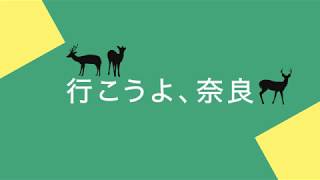 モーショングラフィックスで奈良の観光案内サイト「ならぽっぷ」の紹介【AfterEffects】