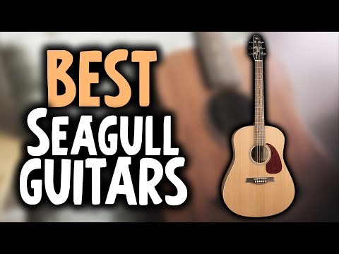 Best Seagull Acoustic Guitars in 2019 - GuitarSquid Reviews