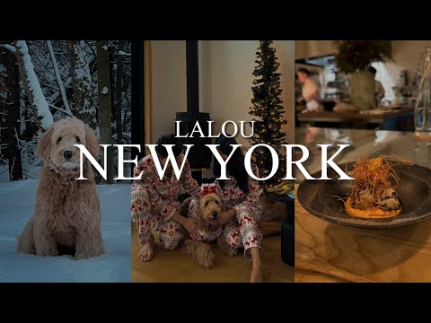[Sub] NYC Vlog | 뉴욕 브이로그 | 뉴욕 로컬 맛집 | 크리스마스 여행 | 뉴욕 웨스트 빌리지 | 캐나다 스키 여행 | 강아지와 함께 뉴욕