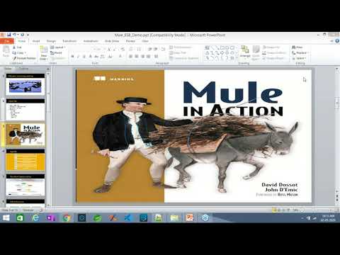 mule soft demo usage